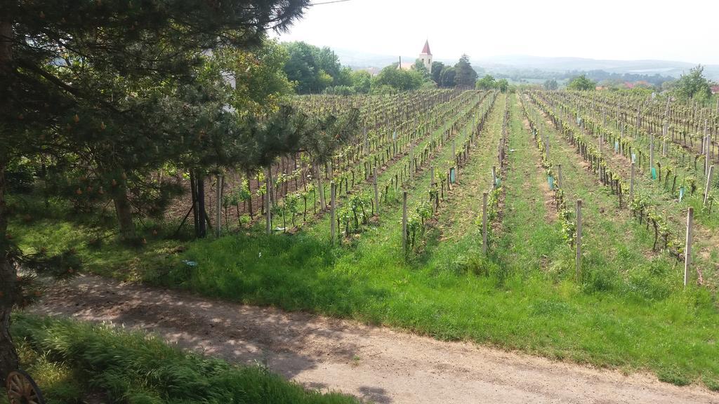 Penzion U Tomcalu Terezín Exteriör bild